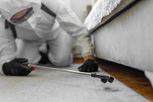 Professional Termite Control technician working in Apollo, PA
